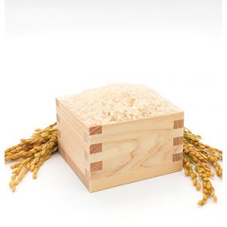 【毎月定期便】【南信州高森産】コシヒカリ精米5kg 全6回 5kg