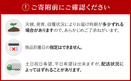 【2026年9月下旬より発送】北海道厚沢部町産 キタカムイ 10kg【L・2Lサイズ】 ASO032