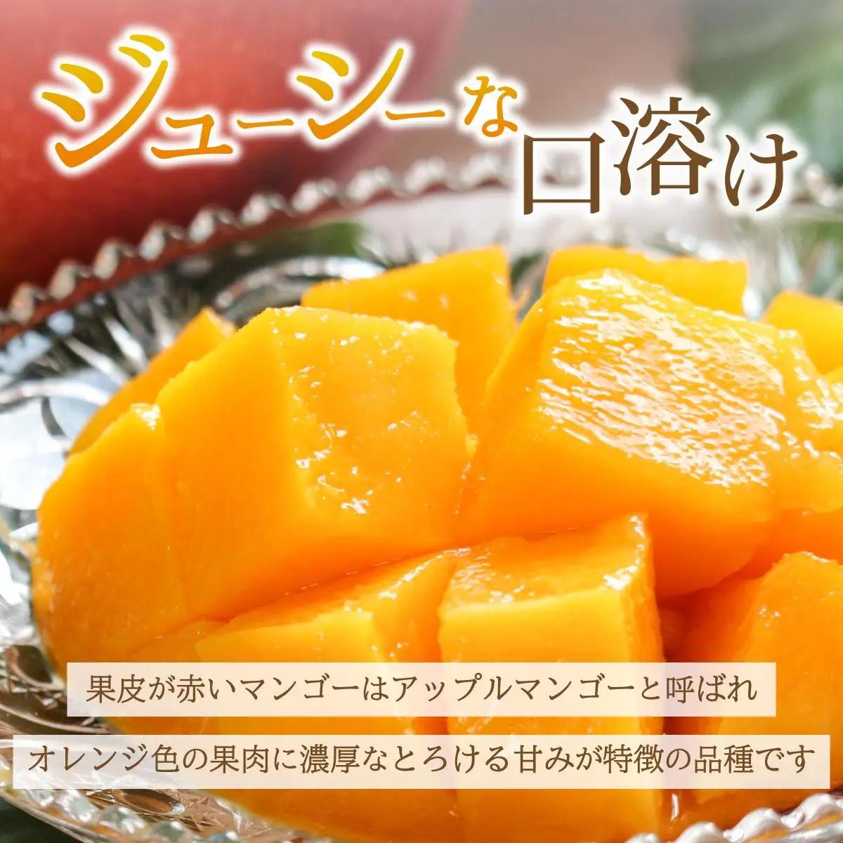 【訳あり】マンゴー サイズ不揃い 2～3玉 (約1kg) KP-26