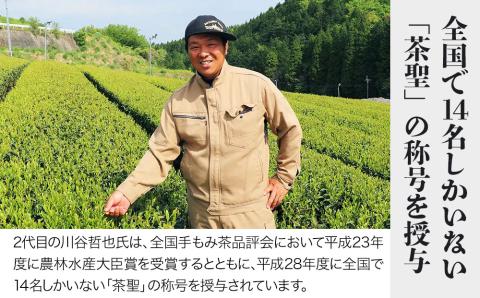 お茶の川谷園 茶聖の極上深蒸し茶 翠 みどり ギフトセット 100g×3袋 お茶 緑茶 日本茶 上深蒸し茶 煎茶 大分県 中津市 熨斗対応