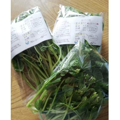 ふるさと納税 相馬市 相馬わさび(花)85g入×1パック |  | 01