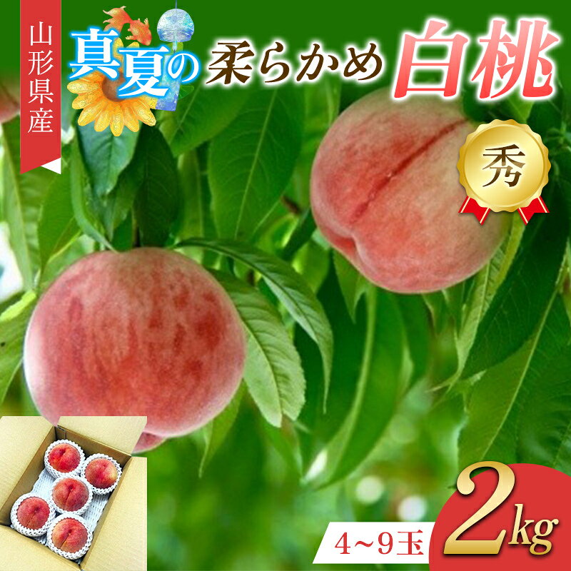 【ふるさと納税】 真夏の白桃 2kg 秀品 柔らかめの品種 FSY-2754