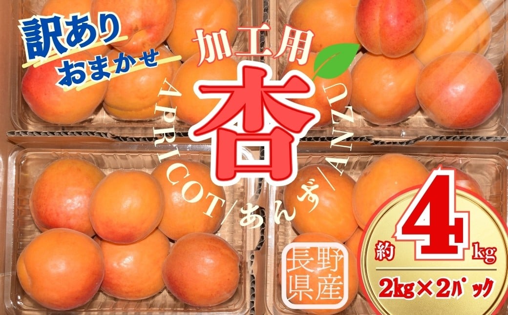 
                  【2026年先行予約】訳あり あんず おまかせ加工用 計約4kg(約2kg×2パック)  | 杏子 アプリコット 信州 長野県 千曲市
                