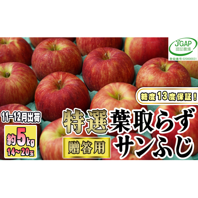 11～12月発送【糖度保証】贈答用 葉取らず サンふじ 約5kg 【特選】【鶴翔りんごGAP部会 青森県産 津軽産 リンゴ 林檎】