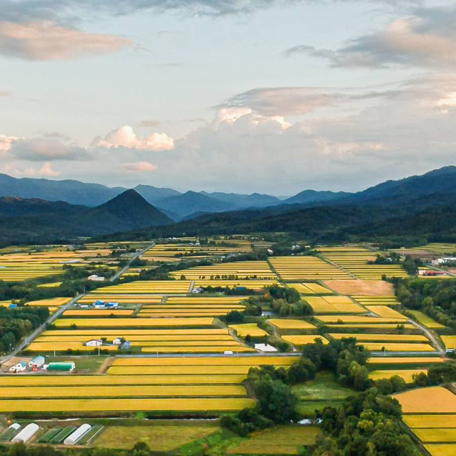 【令和7年産新米】芦別市産　ななつぼし10kg（5kg×2）