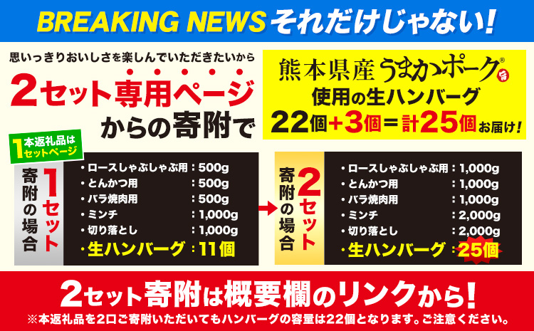 数量限定★生産者応援★ 豚肉 小分け バラエティ セット うまかポーク しゃぶしゃぶ 切り落とし 豚ロース バラ 豚バラ 豚バラ肉 スライス 4.6kg 4600g 4kg 以上 真空 お楽しみセット