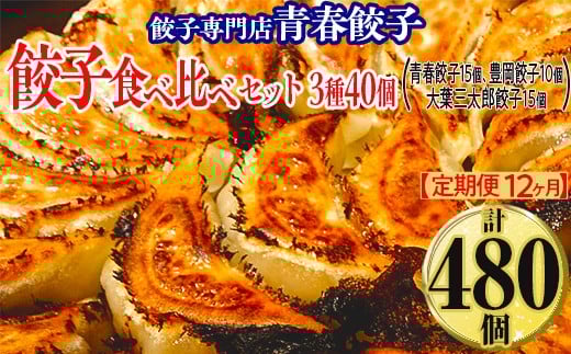 
            【定期便12ヶ月】餃子専門店青春餃子 餃子食べ比べセット 3種40個（青春餃子15個、豊岡餃子10個、大葉三太郎餃子15個）（計480個）
          