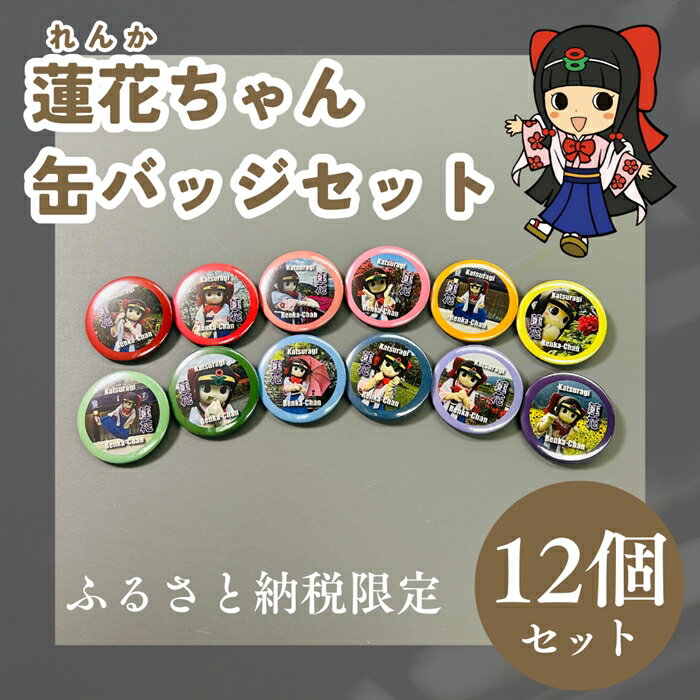【ふるさと納税】蓮花ちゃん 缶バッジセットC（12個入） ／ ゆるキャラ ご当地キャラ グッズ マスコット コレクション 奈良県 葛城市