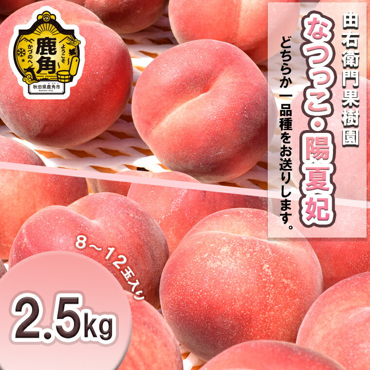 【ふるさと納税】《 先行予約 》桃 秋田県産 希少 もも 「 なつっこ / 陽夏妃 」2.5kg ( 8～12玉入り ) 桃 もも モモ お盆 お見舞い 完熟 国産桃 お中元 贈り物 贈答用 グルメ ギフト 故郷 秋田 あきた 鹿角市 鹿角 送料無料 【由右衛門果樹園】