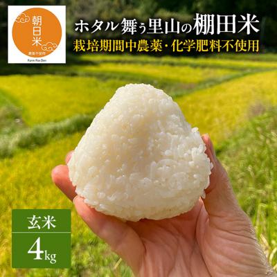 ふるさと納税 赤磐市 先行受付 農薬不使用 ホタル舞う里山の棚田米 玄米4kg 令和8年産[NO5765-1513]