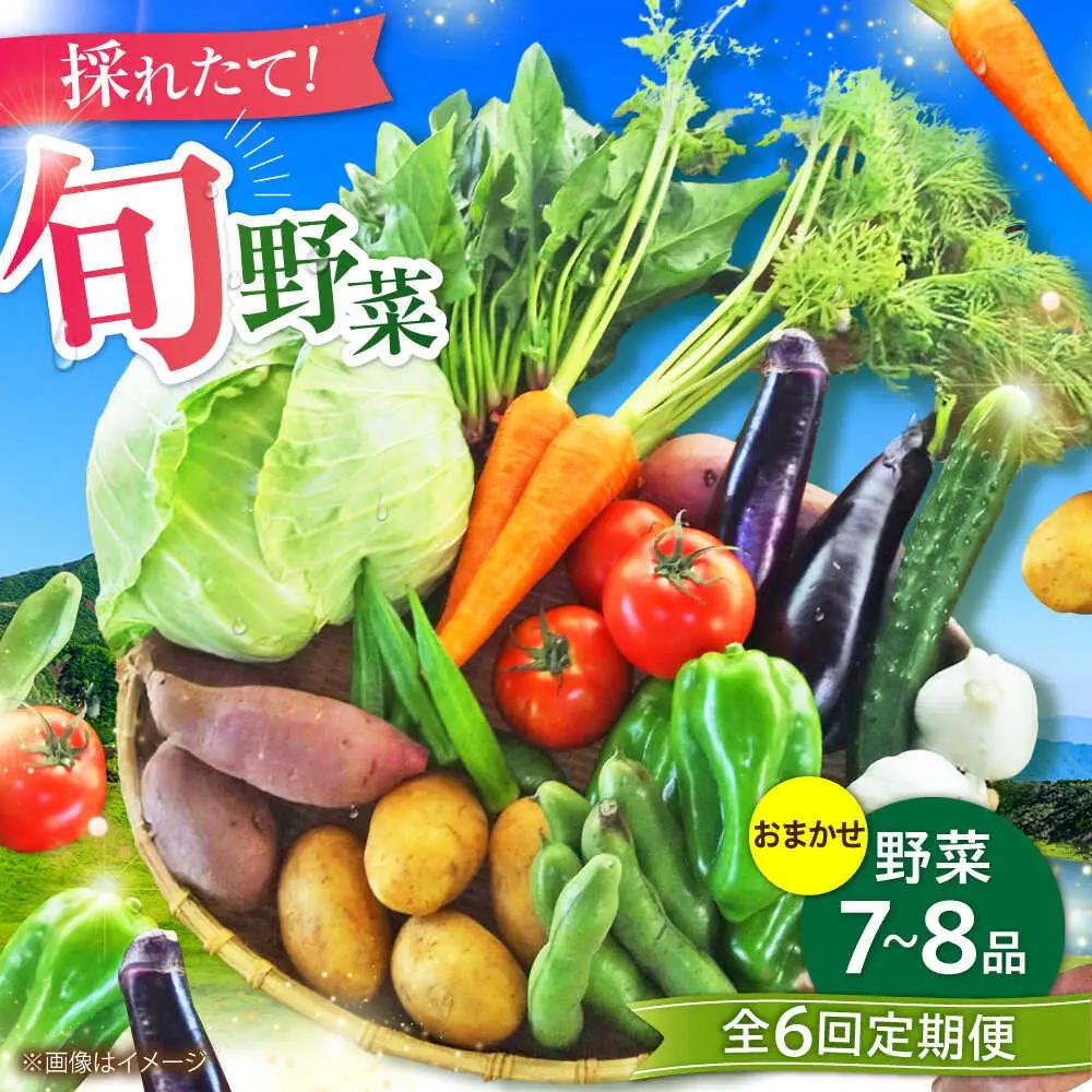全6回定期便 旬の 野菜 セット 約3kg 野菜 7-8品程度 BHAK025