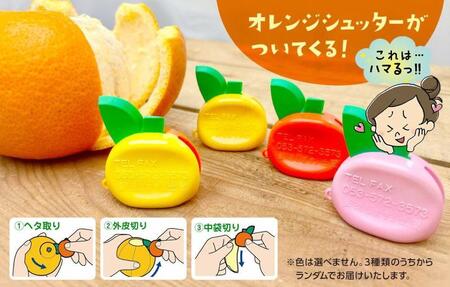 八朔 (はっさく) とにかく 小玉 箱込 2.5kg(内容量約 2.3kg) 秀品 優品 混合 Sサイズ以下 和歌山県産  産地直送［おまけ付き］［みかんの会］