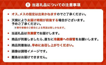 すっぽん スッポン 約700g すっぽん鍋 簡単調理