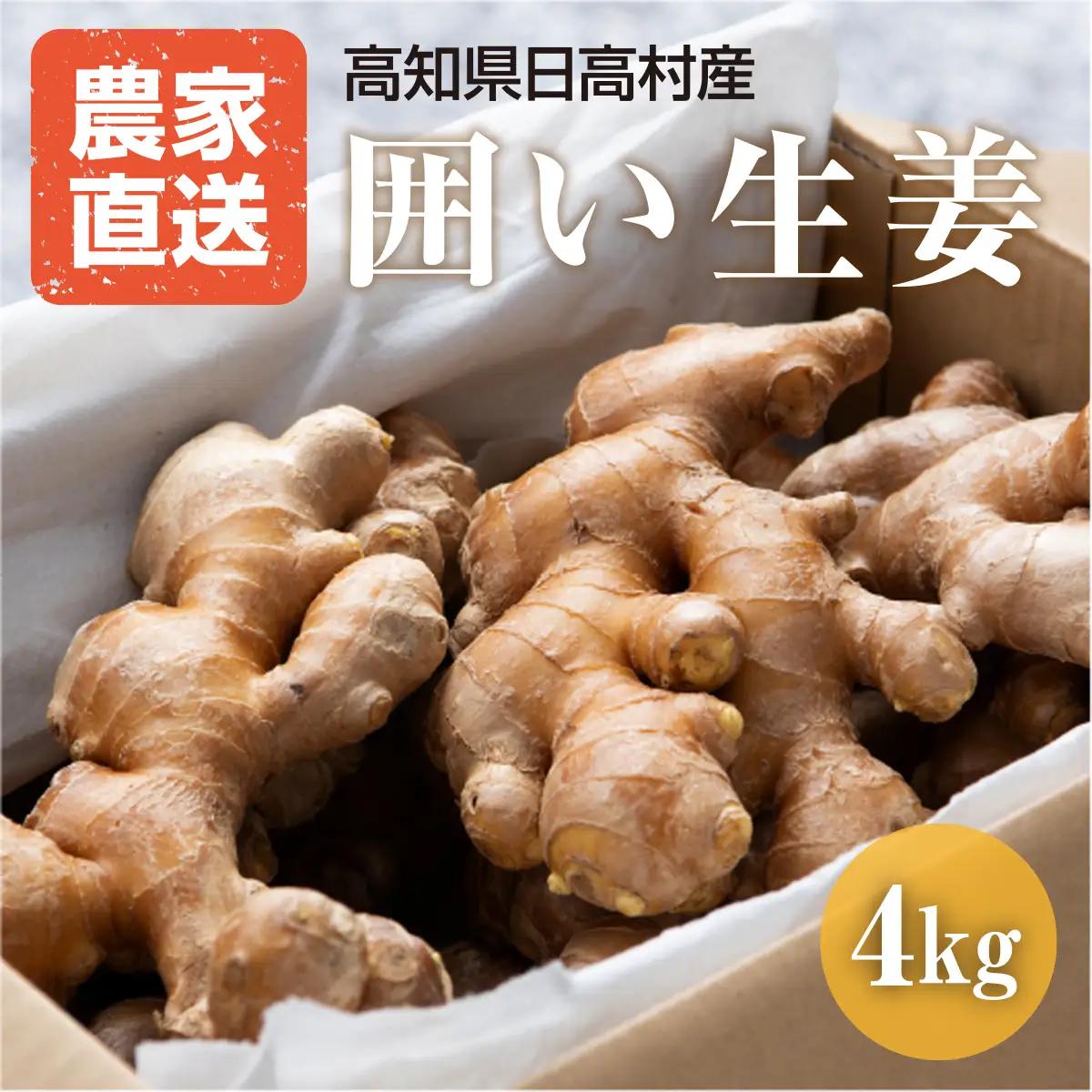 生姜 4kg 高知県産 囲い生姜 熟成仕上げ 大容量 業務用 低農薬栽培 農家直送