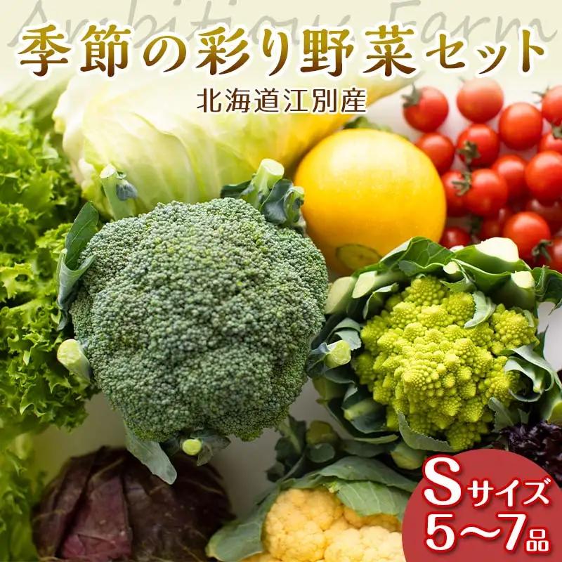 季節の彩り野菜セットSサイズ(5～7品) 野菜 詰め合わせ 新鮮 産地直送 北海道 江別市 EB8-0153