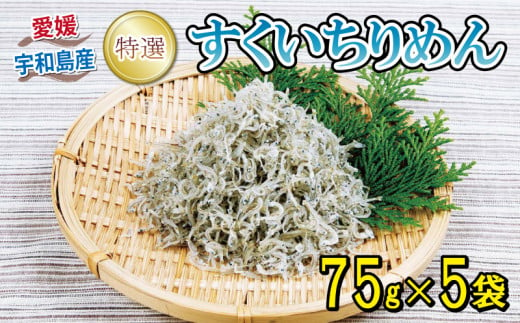 特選 ちりめん すくいちりめん 75g×5袋 計375g  愛媛県漁業協同組合宇和島支所 じゃこ ちりめんじゃこ しらす しらす干し ちりめん干し 冷蔵 人気 おつまみ 加工品 水産品 ふりかけ 弁当 おにぎり カタクチイワシ イワシ 産地直送 国産 愛媛 宇和島 D018-027004