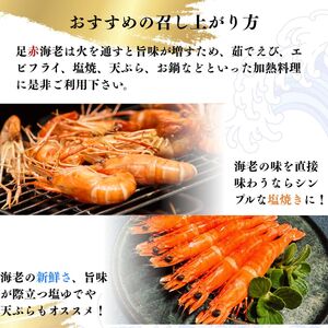 【活き〆】冷凍 足赤えび 500g ×2 パック | 足赤えび 足赤えび 足赤えび 足赤えび 足赤えび 山口県 宇部市