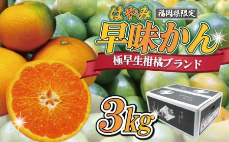 【2025年9月中旬より順次発送】JAむなかたブランドみかん【姫の神】（早味かん）約3kg[F2280a]