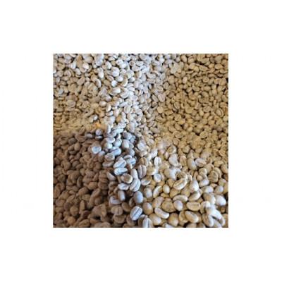 ふるさと納税 旭川市 【豆】浅煎&中煎 北海道旭川焙煎コーヒー豆 100g×10袋_02945 |  | 01