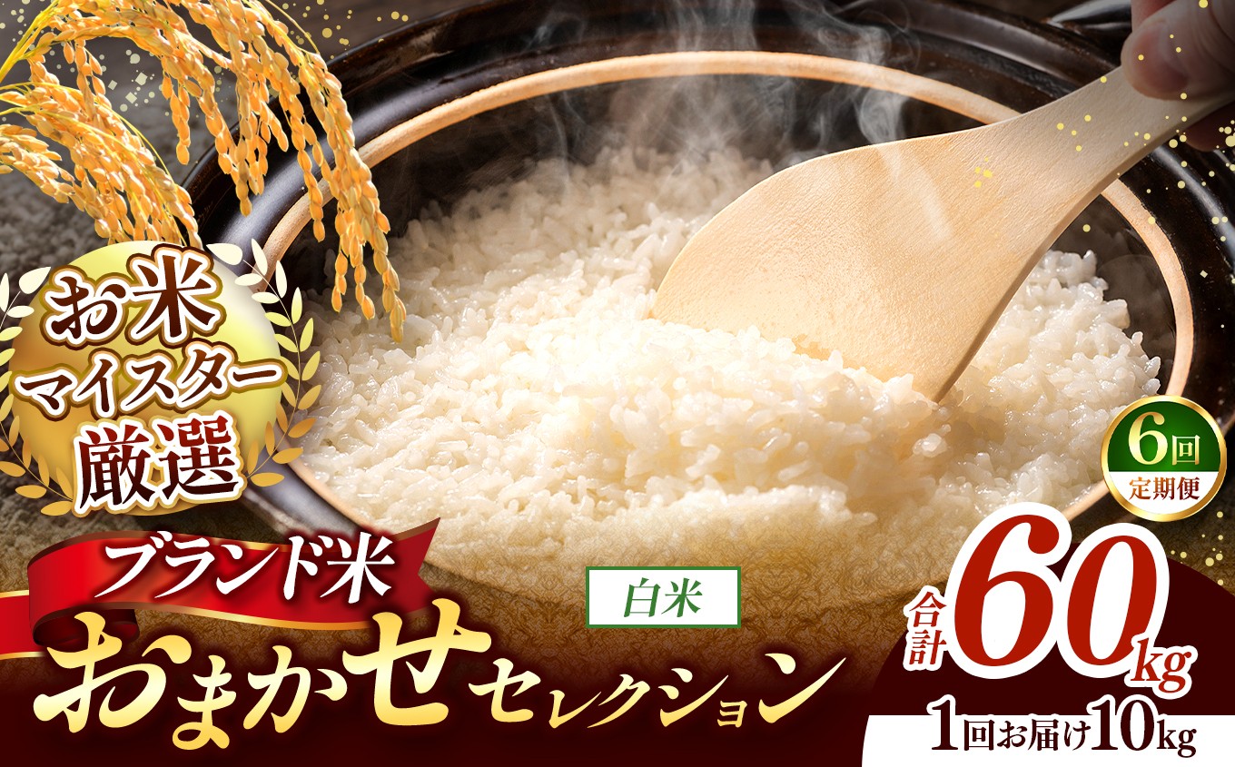 
                  【 令和7年産 】おまかせ セレクション 【定期便6回】熊本県産 白米  ＜ひのひかり / 森のくまさん / くまさんの輝き ＞ 10kg  | 単一銘柄 米 単一米 お米 こめ 小分け 人気 コメ お米 5kg 10kg 15kg 20kg 25kg 30kg 定期便 3回 6回 12回 ブランド米 菊池川流域 家庭用 送料無料 熊本 くまもと 熊本県 和水 和水町 人気 ごはん
                