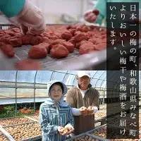 紀州南高梅はちみつ梅　hjumys006A【hjumys006A】