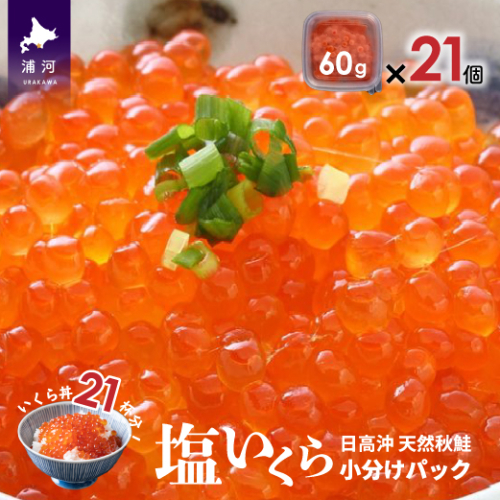 【サーモンフィレー付】北海道日高産 塩いくら小分けパック(60g×21)[15-544]