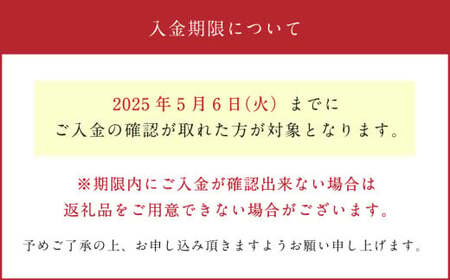 母の日 フラワーアレンジメント【ハッピー】【2025年5月10日にお届け】｜ 花 お花 生花 フラワーギフト カーネーション ガーベラ かすみ草 レースフラワー