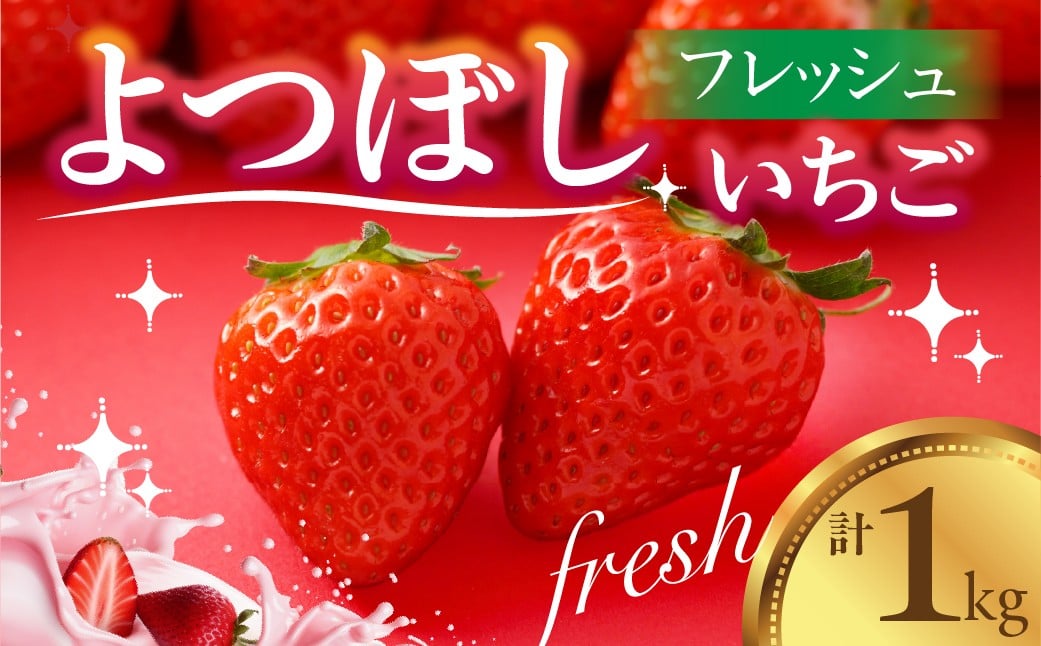
                  【先行予約】フレッシュ苺 いちご 『よつぼし』 1kg 国産 豊橋産 数量限定
                