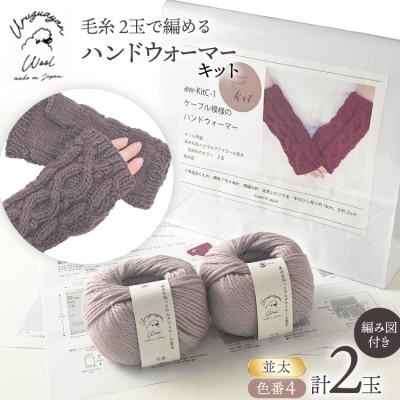 ふるさと納税 江南市 毛糸2玉で編めるケーブル模様のハンドウォーマーキット 4番色 | 