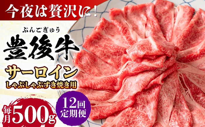 
            【全12回定期便】【厳選部位】おおいた豊後牛 サーロイン しゃぶしゃぶすき焼き用 500g 日田市 / 株式会社MEAT PLUS　牛 うし 黒毛和牛 和牛 豊後牛 [AREI085]
          