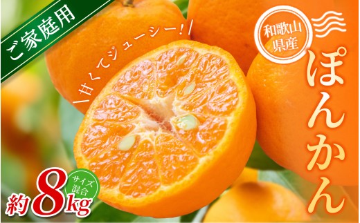 【ご家庭用】 森本農園の手選別 ポンカン 約8kg 和歌山県産 サイズ混合 【北海道・沖縄・離島配送不可】【2027年1月上旬～2月上旬頃に順次発送】