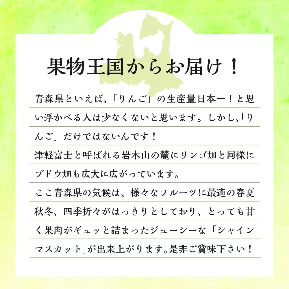 【2026年11月上旬発送】 シャインマスカット 大房 800g 青森産