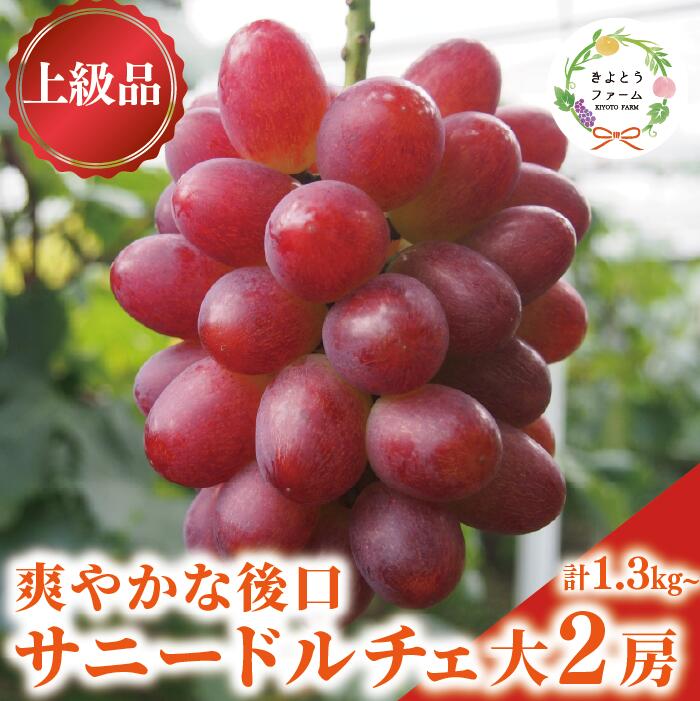 【ふるさと納税】希少品種 爽やかな甘みの サニードルチェ 特大2房 計1.3kg～ (岡山県産)