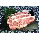 【ふるさと納税】福井県のブランド牛 若狭牛 サーロインステーキ用 200g×3枚　【牛肉・サーロイン】