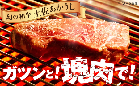 土佐あかうし 塊肉ステーキ 約500g（もも）【株式会社Dorago】[ATAM046]