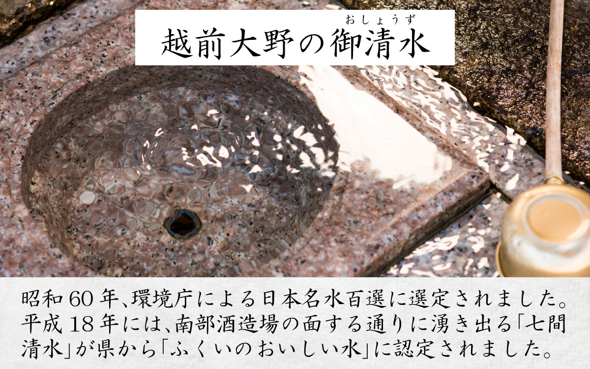【12ヶ月連続お届け】越前大野の天然水　悠久のしずくPET500ｍｌ×24本×12回　計288本