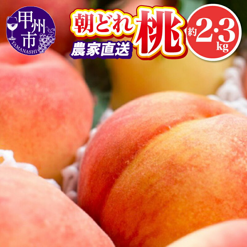 【ふるさと納税】 桃 約2kg 約3kg 大玉 4～7玉 7～11玉 果物 もも フルーツ 甲州市 厳選 朝どれ 果実 くだもの 池田青果 山梨県 2025年発送 白桃系 白鳳系 期間限定 数量限定 盛り合わせ 6月 7月 8月 9月 発送 (IS)