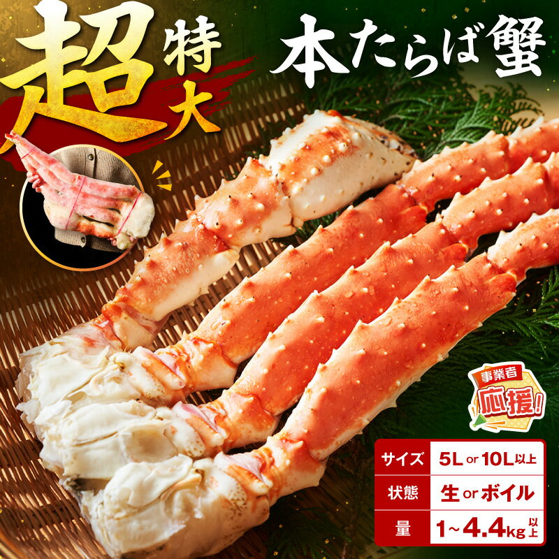【ふるさと納税】数量限定 選べる サイズ 種類 内容量 ！【極太5Lサイズ】【1肩約2.2kgの10Lサイズ】 本たらば蟹 生肩 ボイル肩 約1kg 約2kg 約2.2kg～ 約4.4kg～【ふるさと納税3.0】