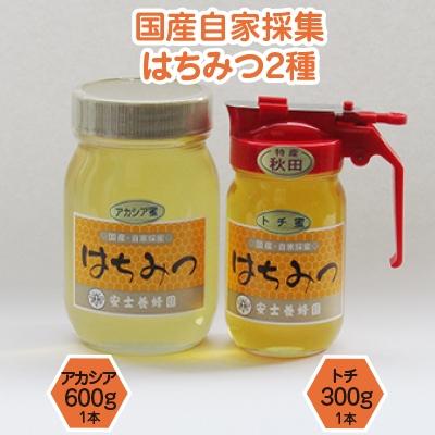 ふるさと納税 横手市 国産自家採集はちみつ2種詰め合わせ(アカシア・トチ　合計2本　900g)