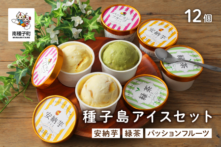 種子島アイスセット12個 【乳化剤・安定剤不使用】【新栄物産】