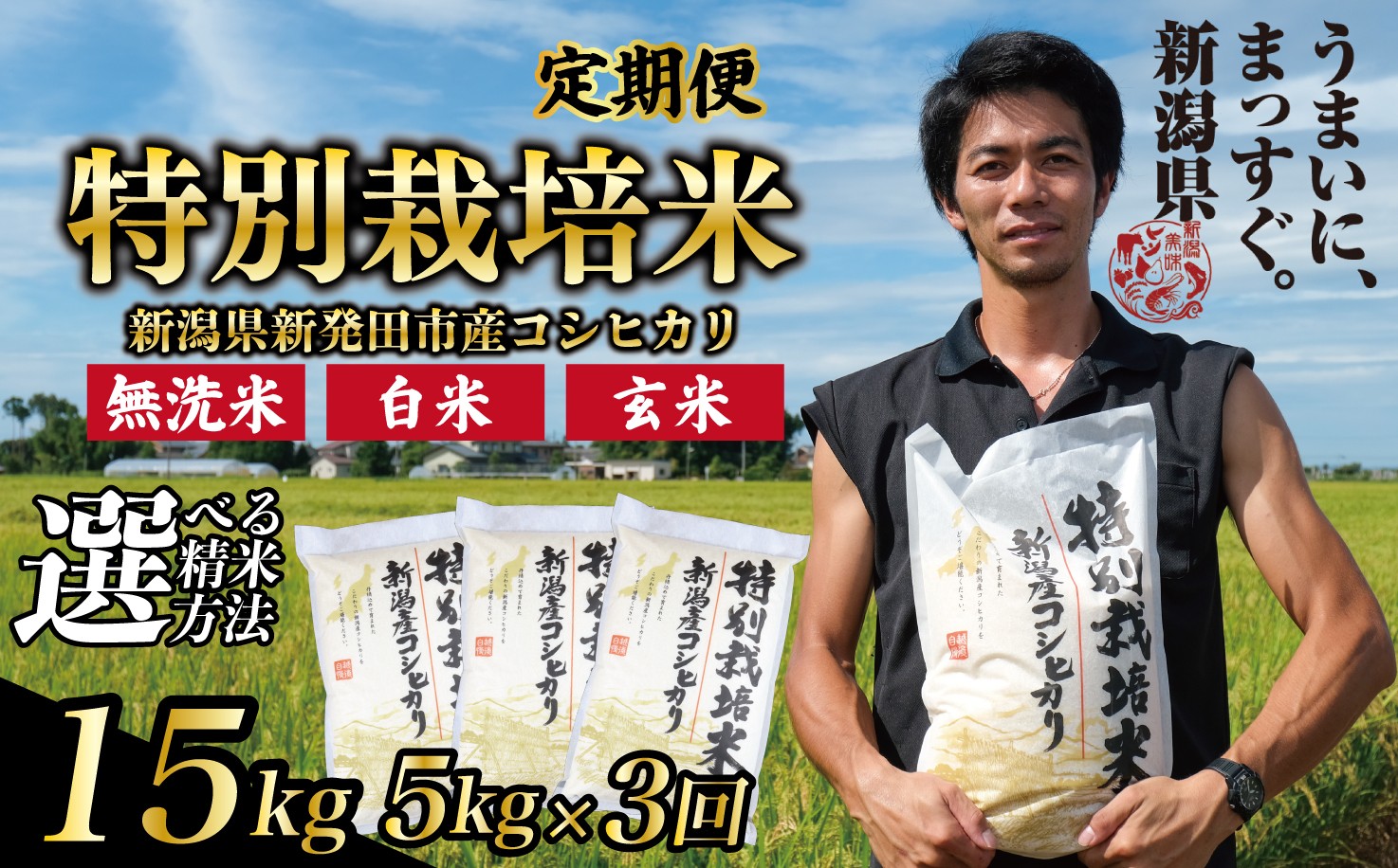 
            【定期便】コシヒカリ 無洗米 白米 玄米 5kg 3ヵ月 15kg 令和7年産 特別栽培米 こしひかり 米 お米 こめ 新潟米 新潟県産 新潟産 新潟 新潟県 新発田産 新発田 新発田市 斗伸 toushin041P
          