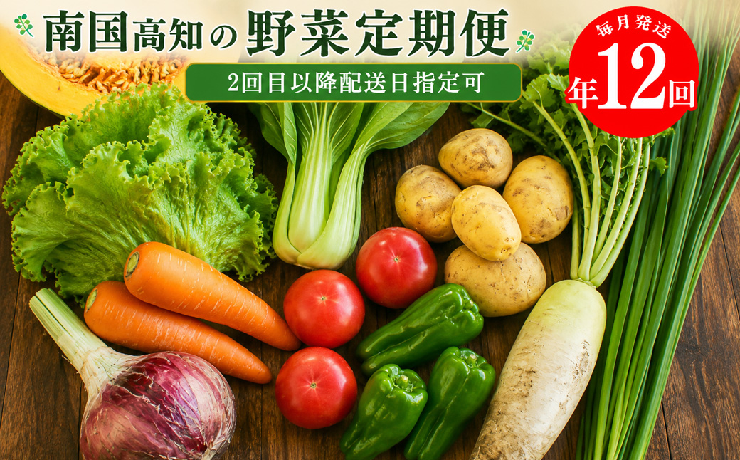 【年12回】高知から直送！旬の季節のお野菜定期便（7~9品）