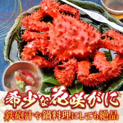 ふるさと納税 根室市 【北海道根室産】花咲かに500g〜650g×2尾、たこ唐×2P C-30075 |  | 01