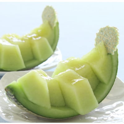 【令和5年 品質優良賞受賞】果汁たっぷり春メロン 茨城県産アンデスメロン【特秀】2玉【配送不可地域：離島・沖縄県】