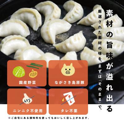 ふるさと納税 諫早市 餃子のかわしもの焼き餃子　業務用45個入りパッケージ(約35g×45個) |  | 03