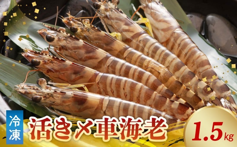 
S065-004_活き〆冷凍車海老 1.5kg (500g×3パック)
