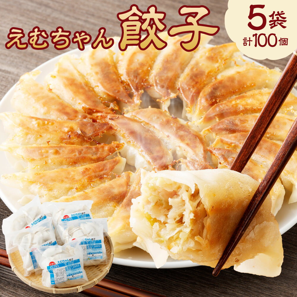 【ふるさと納税】【レビューキャンペーン対象商品】冷凍 餃子 5袋 ( えむちゃん 5袋 100個) | NPO法人プラス・ワン 第2むくのき ぎょうざ ギョーザ 豚肉 晩ごはん おつまみ つまみ 弁当 惣菜 お取り寄せ 大容量 家庭用 人気 和風 さっぱり こだわり 小分け 送料無料