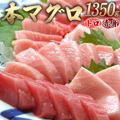 ふるさと納税 北山村 本マグロ(養殖)トロ&amp;赤身セット 1350g 【配達日指定不可】【nks111】