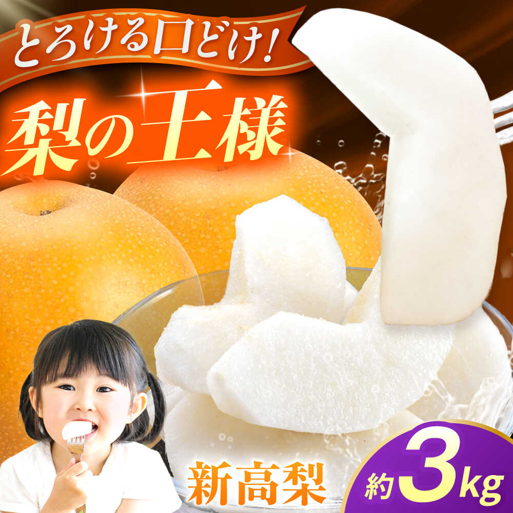 【ふるさと納税】【先行予約】新高梨　約3kg 梨 ナシ フルーツ 果物 【日本フルーツ株式会社】[ZFJ064]
