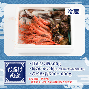 ＜平日着＞＜6～8月配送不可＞甘えび/旬のいか/サザエの詰合せ 国産 魚介 海鮮 海の幸 海老 エビ 甘海老 イカ サザエ 冷蔵 ギフト【sm-AA001-A】【いたくら】